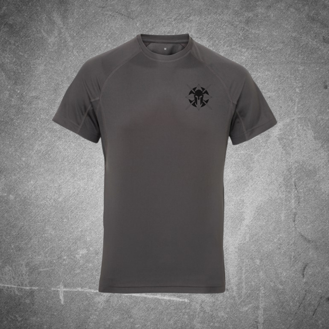 TriDri® Charcoal panelled tech tee shirt